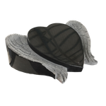 Heart Wing Ledger